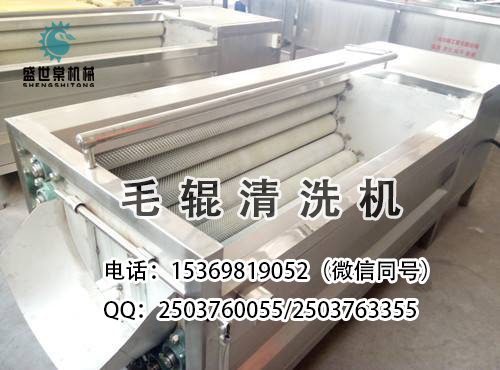 牛甘果清洗機(jī)