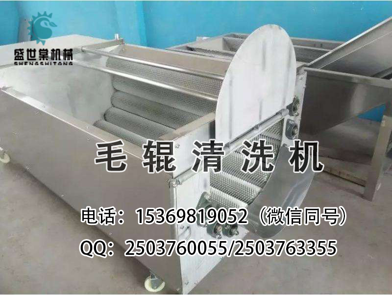 芥菜清洗機