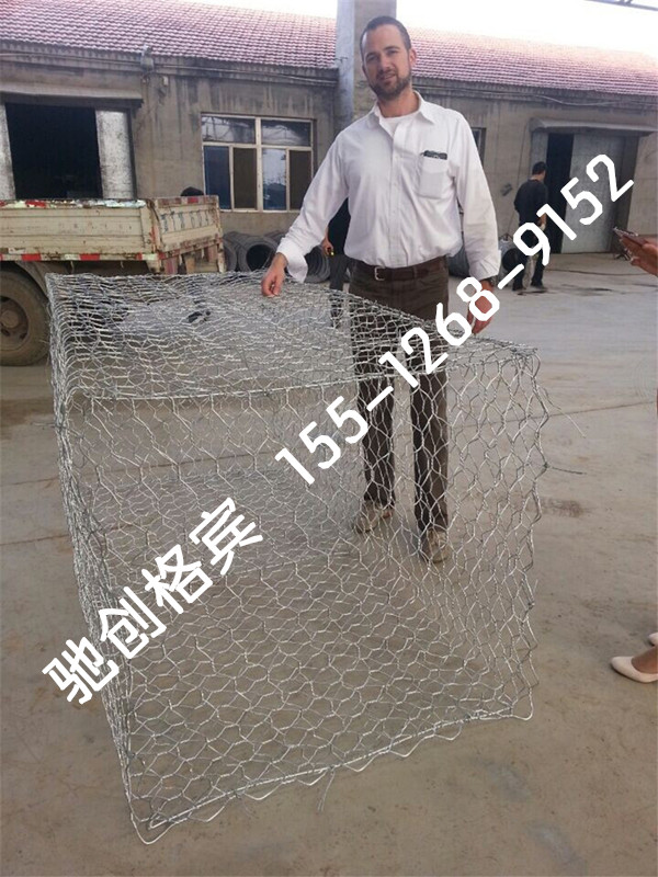 石籠網箱 包塑石籠網 鍍鋅石龍網 石籠網批發原始圖片2