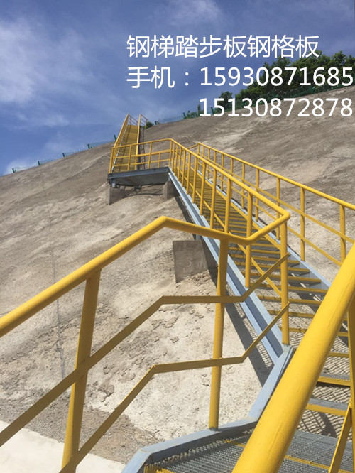 宿州鋼格柵板制造 鍍鋅鋼格柵 鋼格柵蓋板原始圖片2