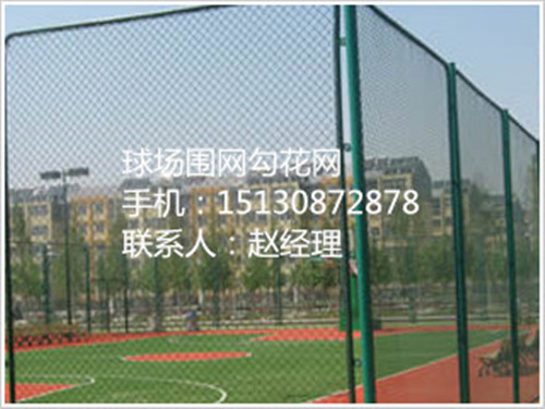 濰坊學(xué)校球場圍網(wǎng) 定做球場圍網(wǎng) 足球場圍網(wǎng)15930871685原始圖片2