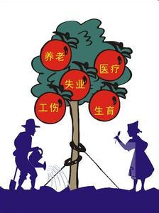 廣州社保代理品牌{sx} 澤才代繳廣州社會保險(xiǎn) 買車買房社保掛靠原始圖片2
