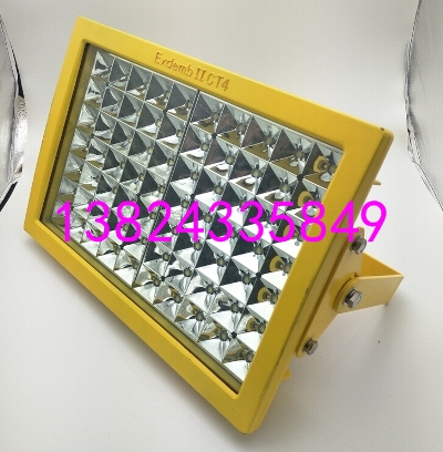 SBD97LED防爆應(yīng)急燈 60W卷煙廠防爆應(yīng)急燈原始圖片2
