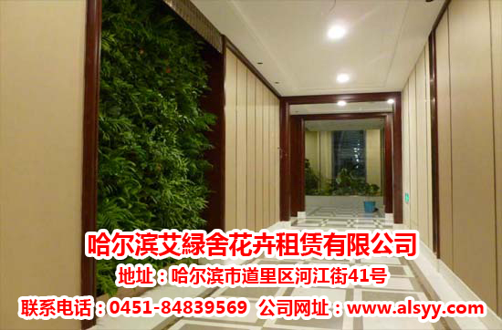 哈爾濱哪家花卉租賃公司更好，哈爾濱花卉租賃