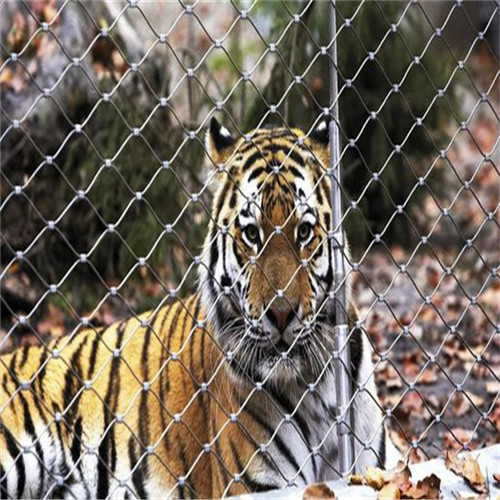 鳥籠舍網(wǎng)/不銹鋼鋼絲繩網(wǎng)/動(dòng)物園鳥雨林網(wǎng)報(bào)價(jià)