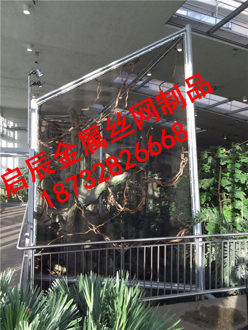 橋梁不銹鋼繩網(wǎng)/不銹鋼繩網(wǎng)/不銹鋼網(wǎng)罩市場價