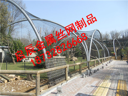 橋梁不銹鋼繩網(wǎng)/不銹鋼繩網(wǎng)/不銹鋼網(wǎng)罩市場價