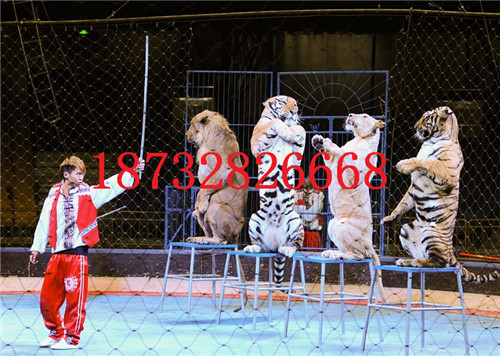 賽道防護網(wǎng)/動物園用網(wǎng)/樓梯扶手裝飾網(wǎng)批發(fā)
