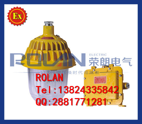 ZL8920-E12 LED應急燈30/40/50/60/70w節能防爆應急燈