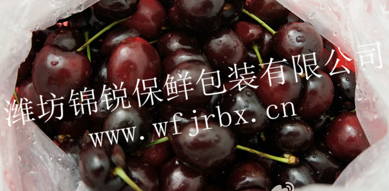櫻桃專用錦銳氣調食品袋/長效保鮮/廠家直營
