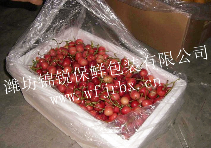 樱桃食品袋厂家