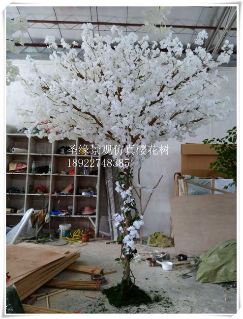 廣州仿真櫻花樹(shù) 櫻花樹(shù) 上海LED仿真櫻花樹(shù)果實(shí) 仿真櫻花樹(shù)裝飾