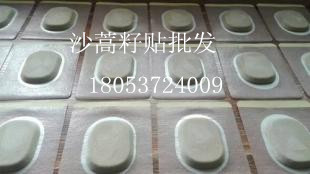 濟寧翰辰供應沙蒿籽透皮貼 綠色療法沙蒿籽餅對外批發原始圖片3