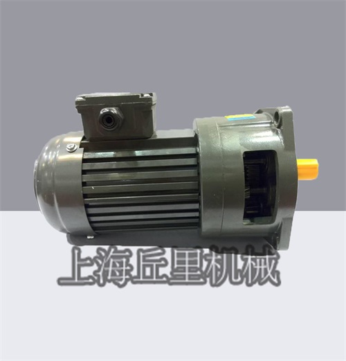 G28齒輪馬達減速機g28齒輪電機原始圖片2