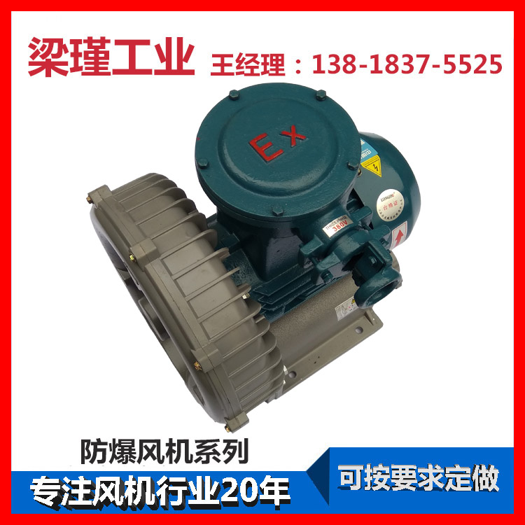 瓊海防爆高壓漩渦氣泵現(xiàn)貨直賣原始圖片2