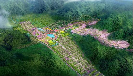 多元農業經濟結合現代花卉市場新舉措：天津堯舜油用牡丹種植有限公司油用牡丹成功空降