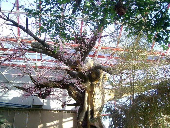 古建涼亭彩繪|想買優(yōu)質(zhì)的古建彩繪上哪