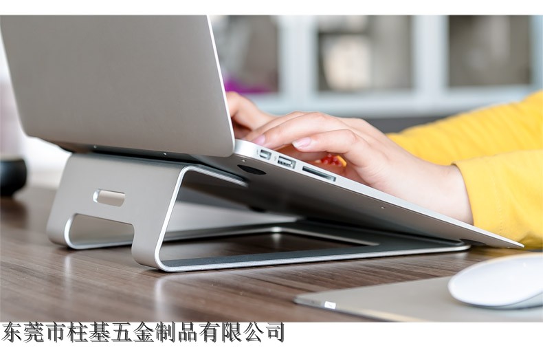 支架