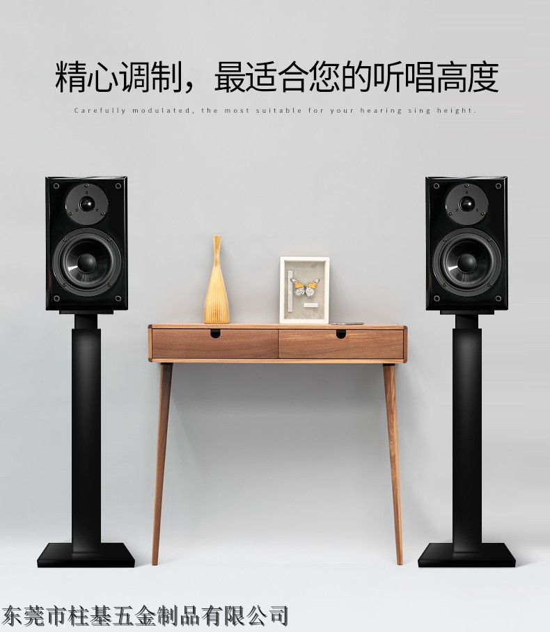 支架