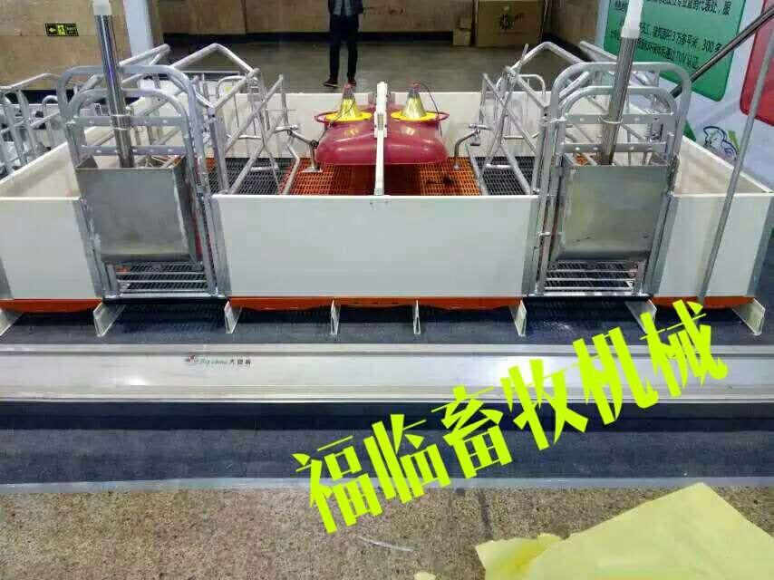 供應豬哈哈規?；i場專業配置歐式母豬產床原始圖片2