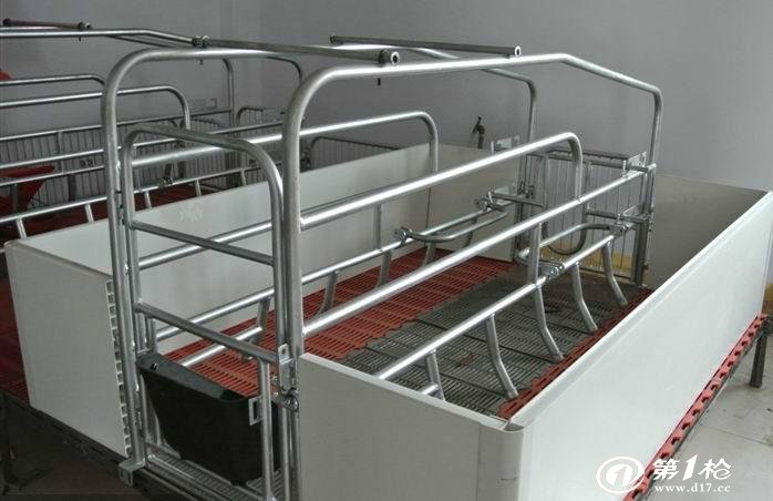 供應豬哈哈規?；i場專業配置歐式母豬產床原始圖片3