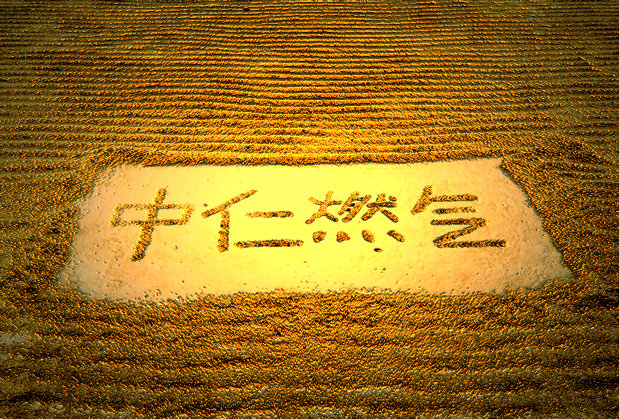 玩雙扣，好歡樂，中仁投資金堂燃氣分公司