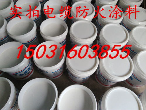 河北廠家直銷電纜防火涂料/防火涂料的規格25KG/桶/防火涂料品牌推薦【名泵防火】原始圖片2