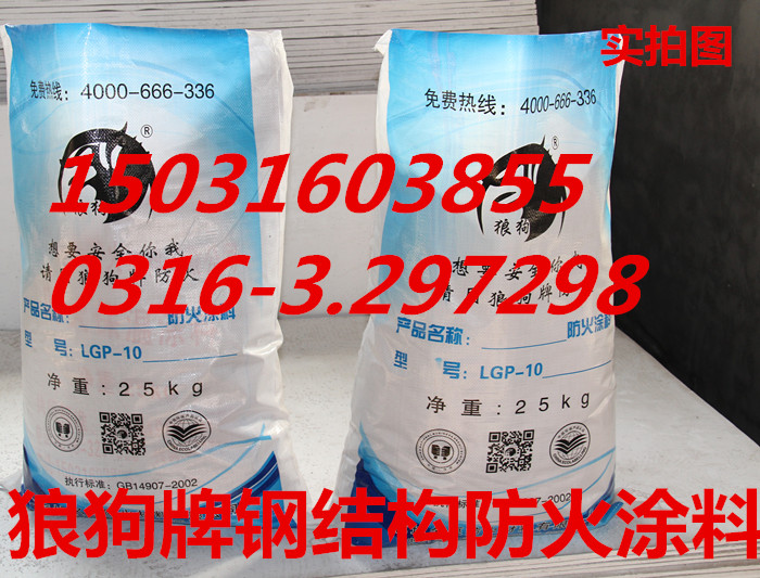 LGP-1004室外薄型鋼結(jié)構(gòu)防火涂料/鋼結(jié)構(gòu)防火涂料/防火涂料價(jià)格原始圖片2