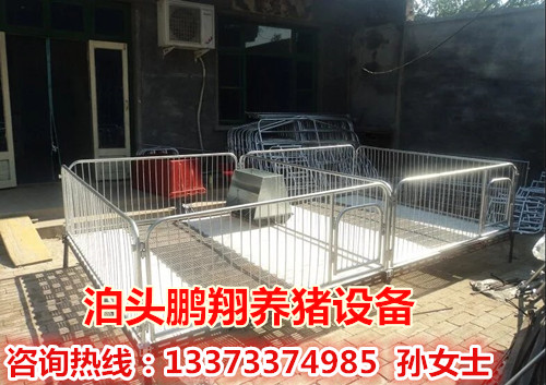 鵬翔養豬設備專業生產廠家  豬用保育床價格  小豬活動床廠家批發