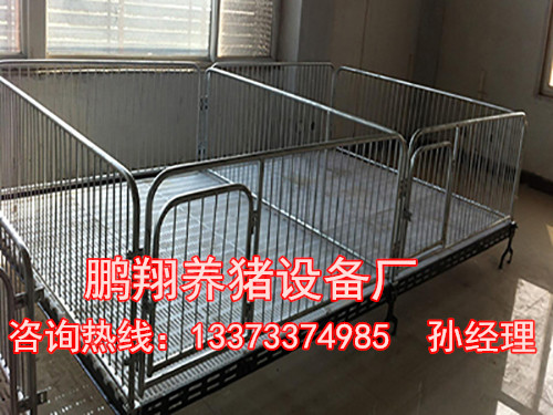 鵬翔養豬設備專業生產廠家  豬用保育床價格  小豬活動床廠家批發原始圖片2