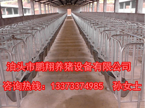 優質的母豬限位欄尺寸  豬舍專用定位欄廠家批發 鵬翔養豬設備廠家直銷原始圖片3