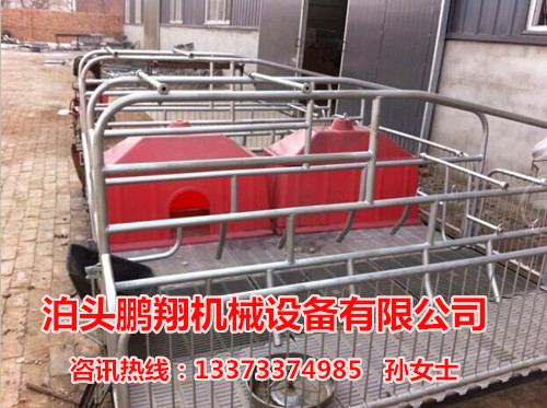 優質的雙體豬產床的尺寸  豬用分娩床廠家批發型號齊全的母豬產床廠家直銷原始圖片2