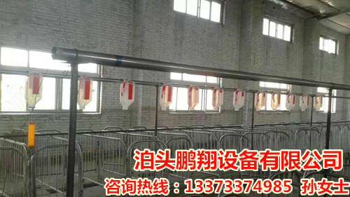 養豬設備廠家批發   母豬分娩床價格   豬用雙體產床廠家批發