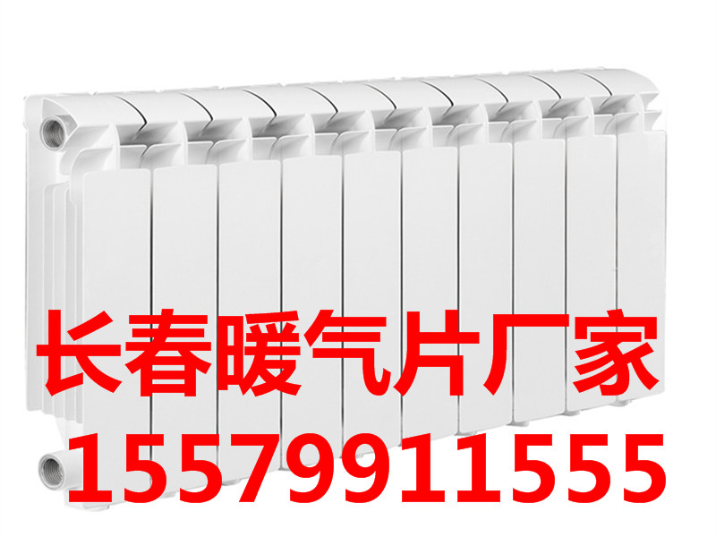 批發(fā)長春SC(WS)TYSZ4-300-8(10)暖氣片廠