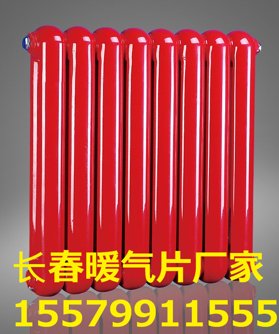 批發(fā)長春SC(WS)TYSZ4-300-8(10)暖氣片廠