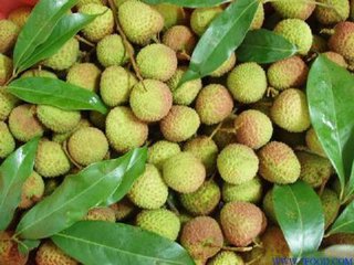 上海荔枝批發(fā)價(jià)格,優(yōu)質(zhì)荔枝供應(yīng)