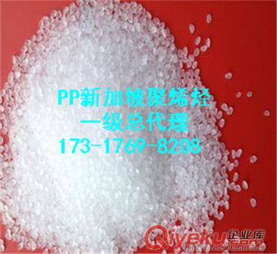 PP沙特|利安德|巴塞爾中國一級代理