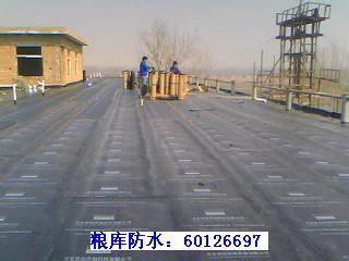 蘇州園區(qū)防水補(bǔ)漏衛(wèi)生間滲水維修 樓面漏水 玻璃滲水維修原始圖片2