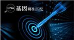 语翼翻译平台利用基因精准匹配译员