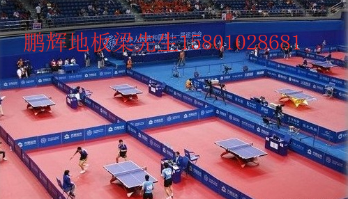 {zpy}的乒乓球地板PH--201北京鵬輝地板供應(yīng)原始圖片2