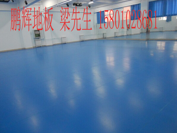 北京哪里賣的舞蹈地膠{zh0}