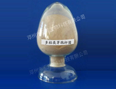 匯邦生物【菌株名稱 】 多粘類芽孢桿菌