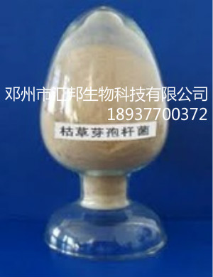 匯邦生物枯草芽孢桿菌價格枯草芽孢桿菌廠家