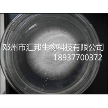 匯邦生物秸稈腐熟劑/秸稈發酵劑價格/秸稈發酵技術廠家