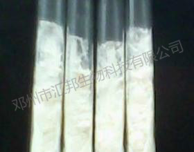 匯邦生物球孢白僵菌/球孢白僵菌價(jià)格原始圖片2