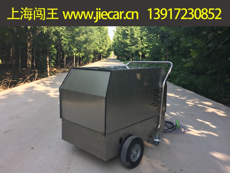 家用蒸汽清理機供應商【上海闖王實業】