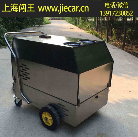 家用蒸汽清理機供應商【上海闖王實業】