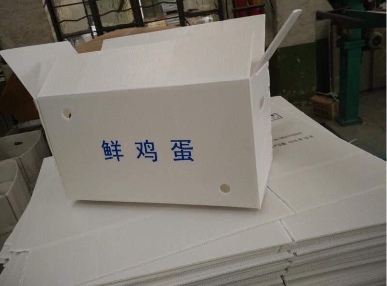 蘇州鈣塑板 蘇州鈣塑箱 鈣塑板周轉箱