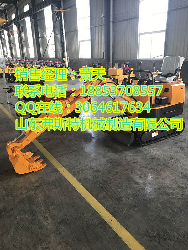 弗斯特小型挖掘機 農用植樹挖坑機 廠家 價格原始圖片3