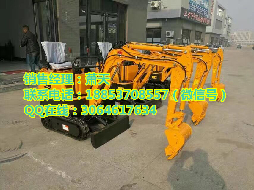 不要猶豫趕快下單弗斯特小型挖掘機(jī) 農(nóng)用挖溝機(jī) 廠家原始圖片2